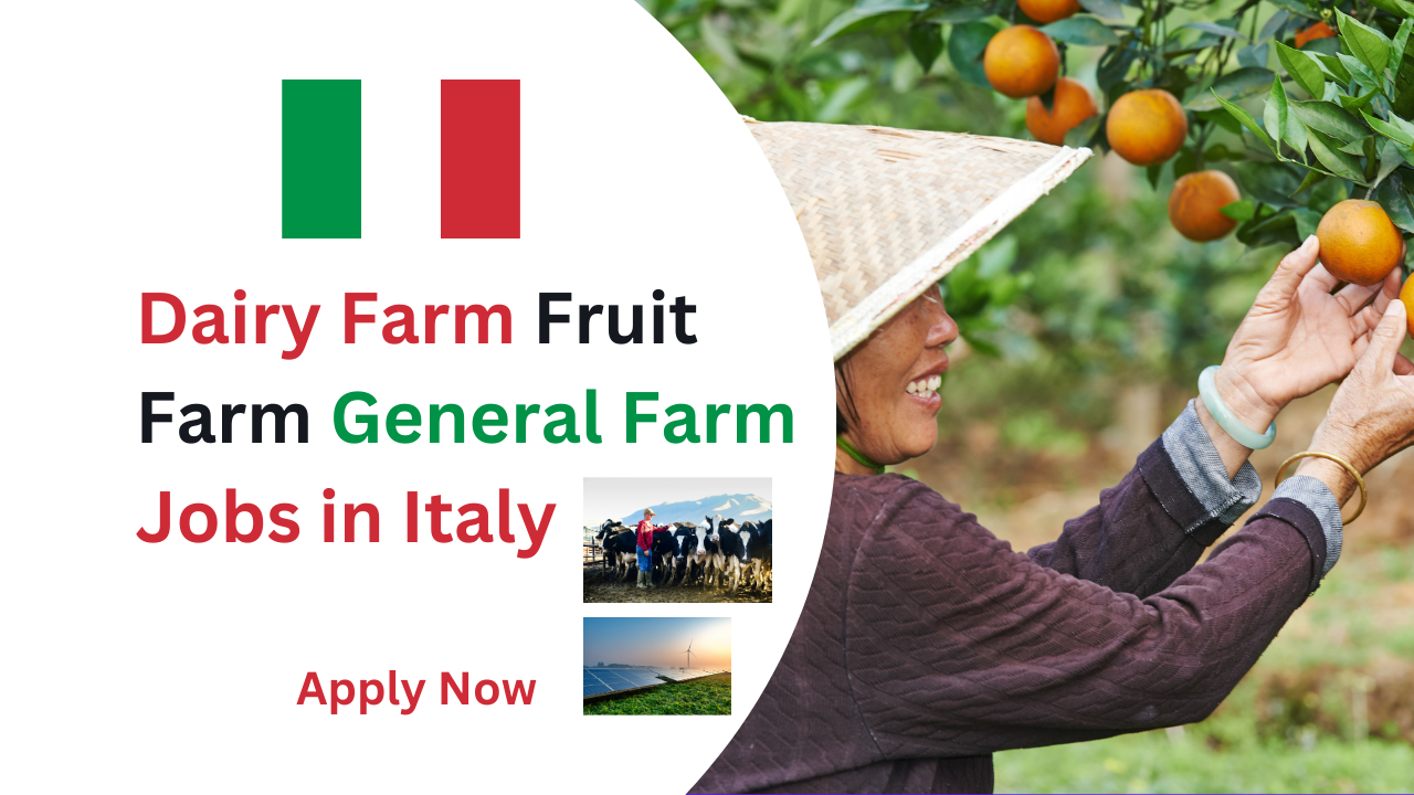 Dairy farm fruit farm general farm jobs in Italy