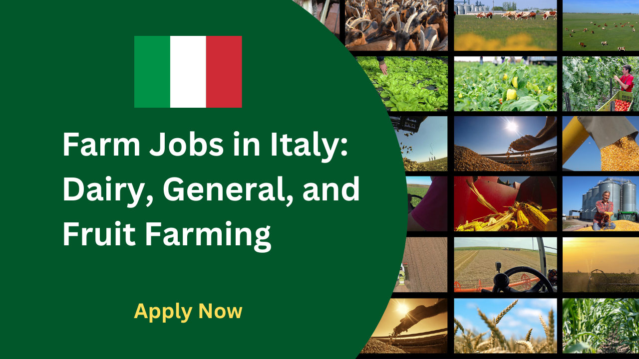 Farm Jobs in Italy Dairy, General, and Fruit Farming