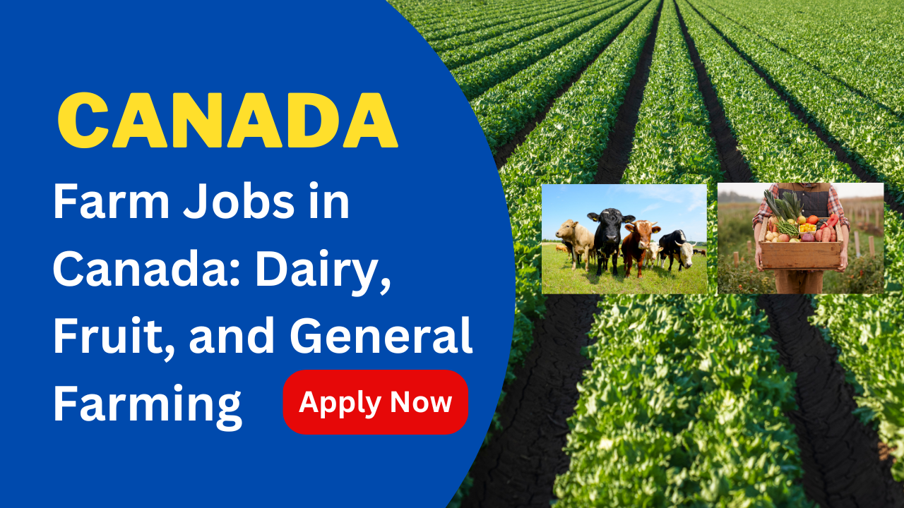 Guide to Farm Jobs in Canada Dairy, Fruit, and General Farming